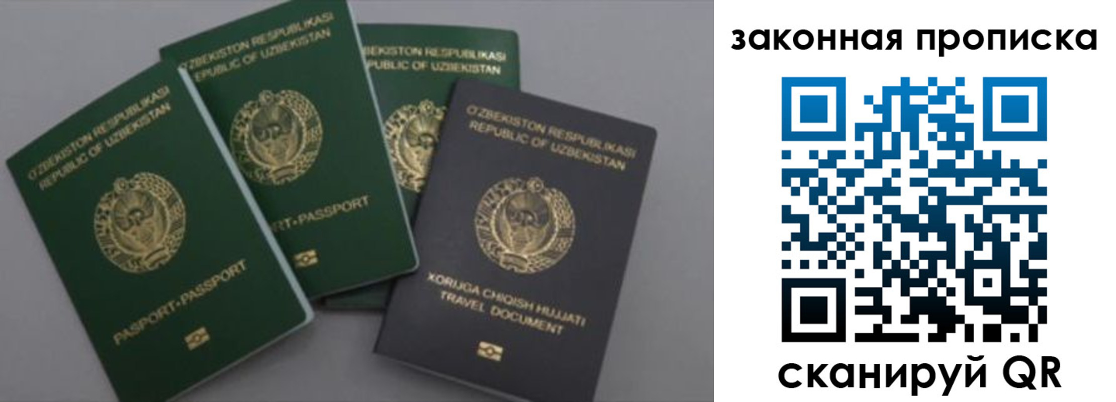 прописка законно в Каргополе
